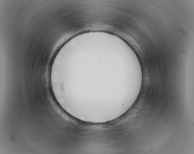 X0000111190990200908121043