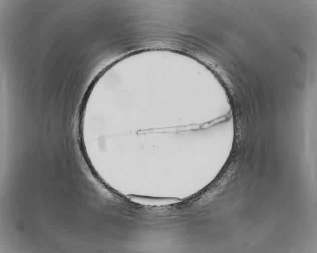X0000111190991200908121043
