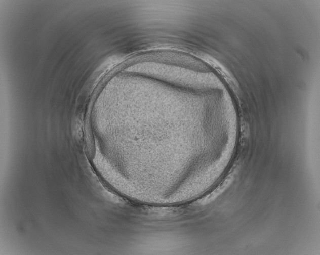 X0000111190993200908121043