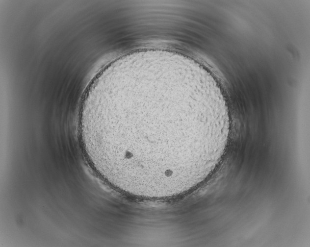 X0000111190994200908121043