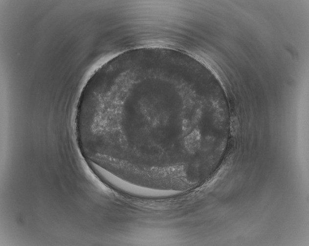 X0000111190995200908121043