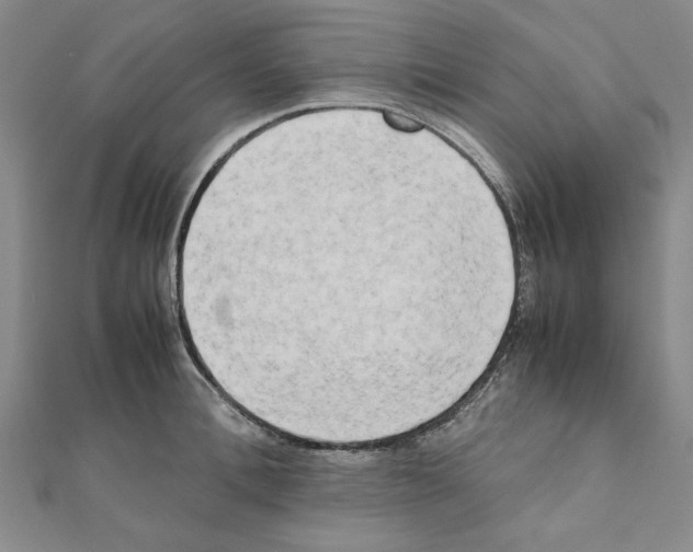 X0000111190996200908121043