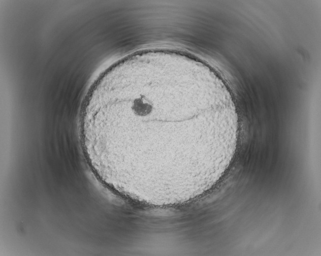 X0000111190998200908121043