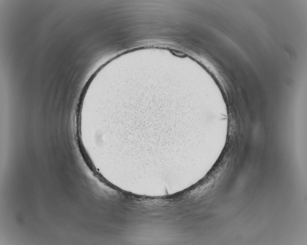 X0000111190999200908121043