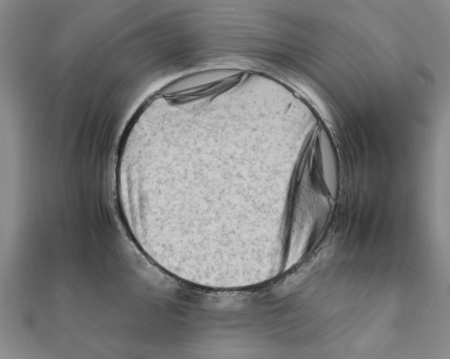 X0000111191000200908121043