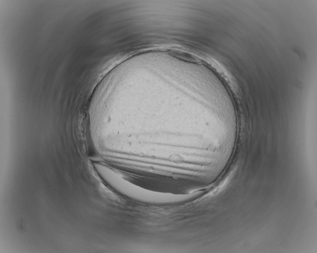 X0000111191001200908121043