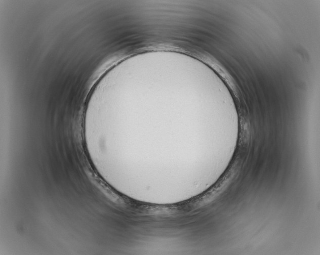 X0000111191002200908121043