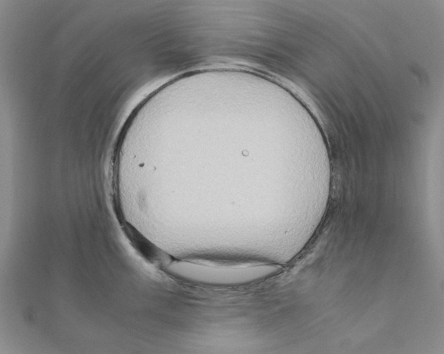 X0000111191003200908121043