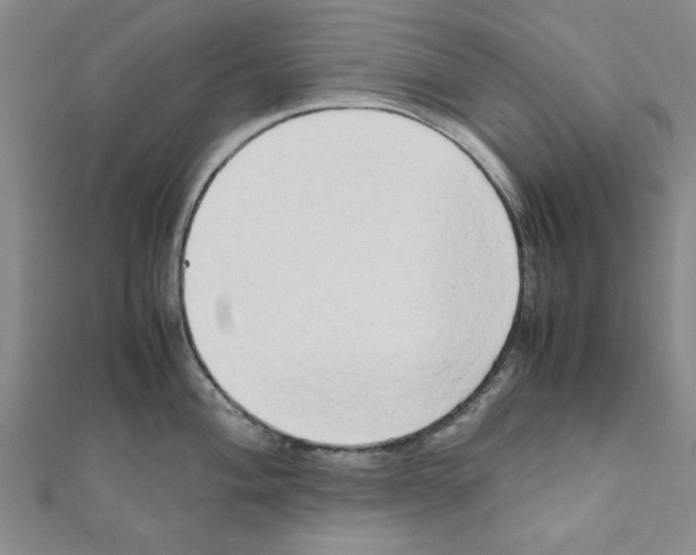 X0000111191004200908121043