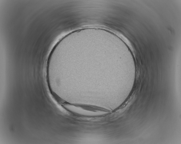 X0000111191005200908121043