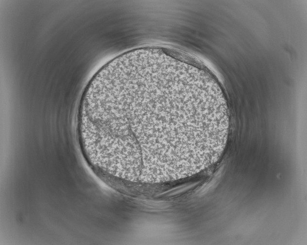 X0000111191007200908121043