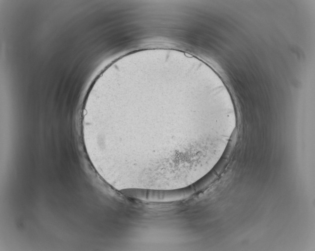 X0000111191008200908121043