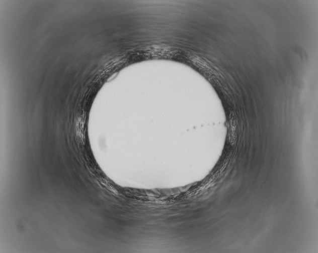 X0000111191010200908121042