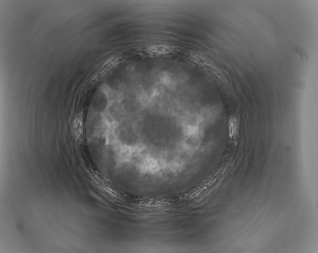 X0000111191011200908121043