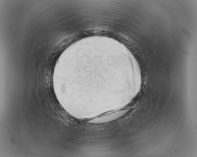 X0000111191014200908121043