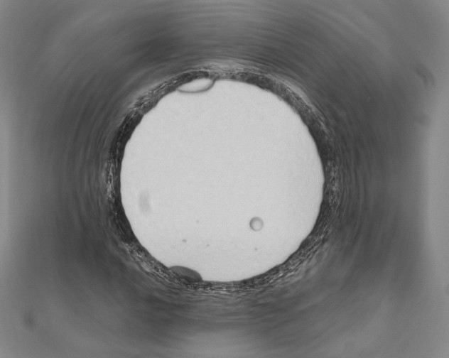 X0000111191016200908121043