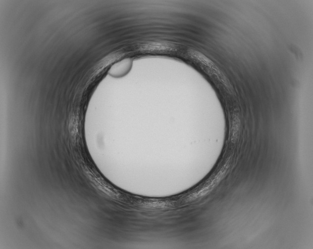 X0000111191017200908121043