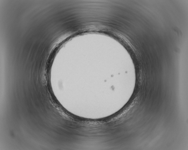 X0000111191018200908121043