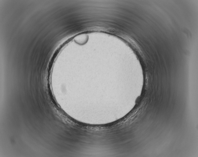 X0000111191020200908121043