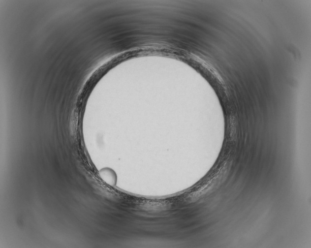 X0000111191021200908121043