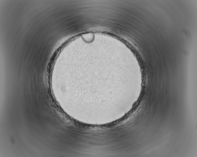 X0000111191022200908121043
