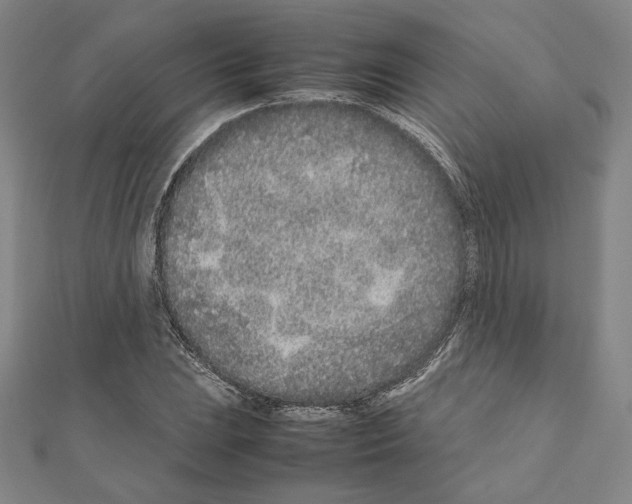 X0000111191023200908121043