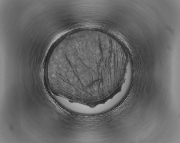 X0000111191024200908121043
