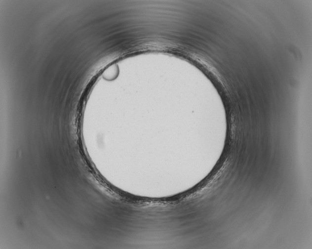 X0000111191026200908121043