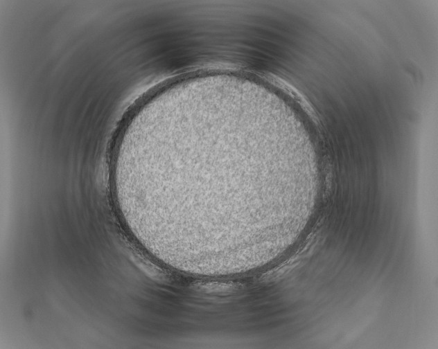 X0000111191027200908121043