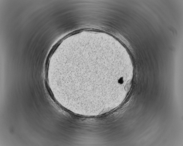 X0000111191028200908121043