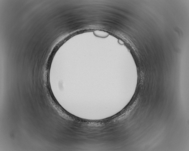 X0000111191029200908121043