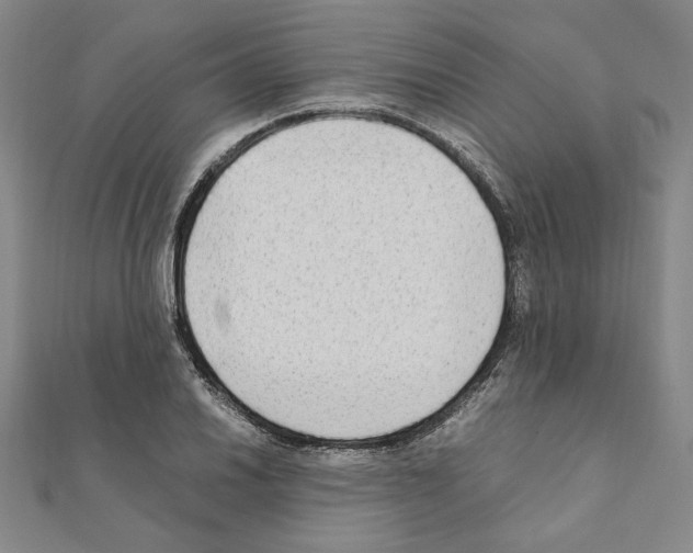 X0000111191030200908121043