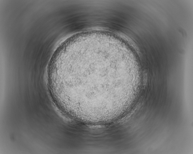 X0000111191031200908121043