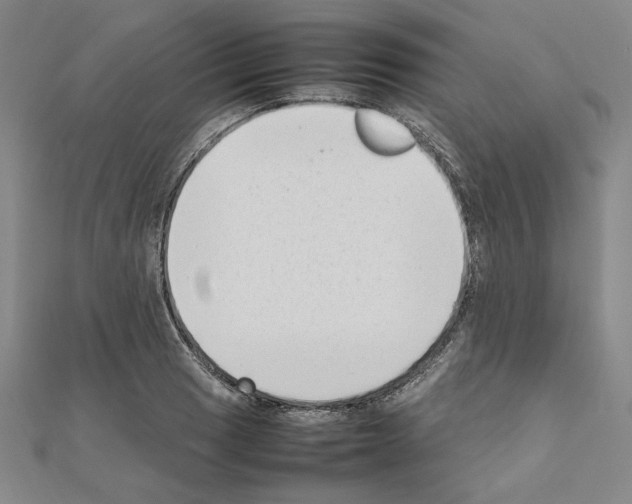 X0000111191033200908121043