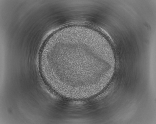 X0000111191035200908121043