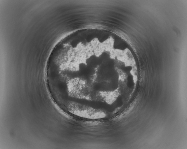 X0000111191037200908121043