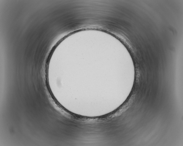 X0000111191038200908121043