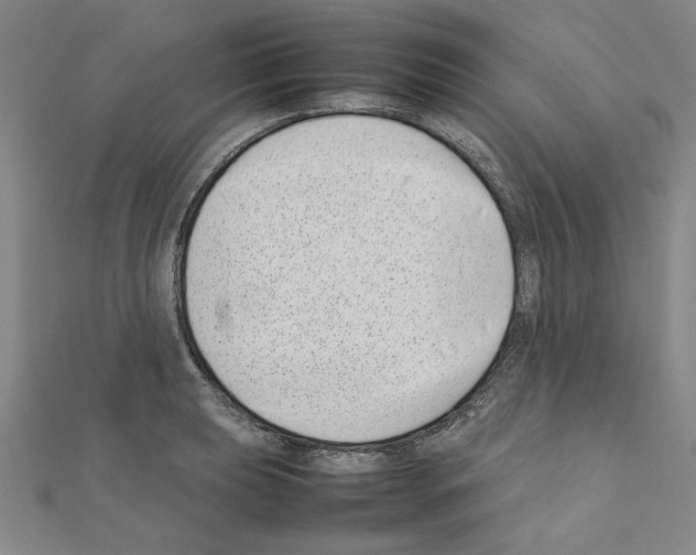 X0000111191039200908121043