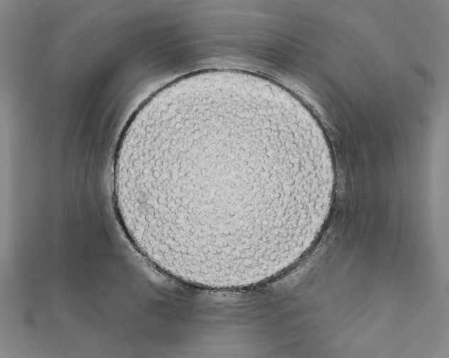 X0000111191040200908121043