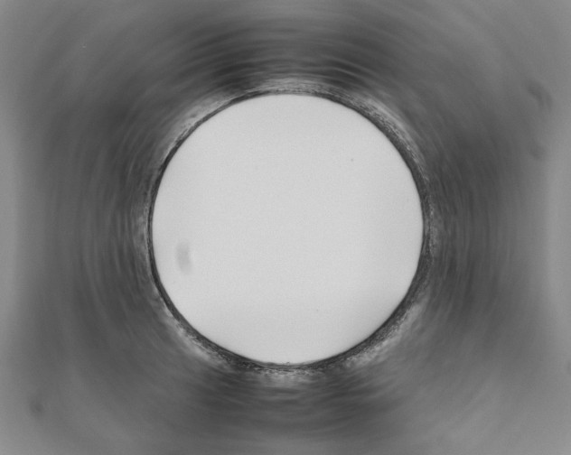 X0000111191041200908121043