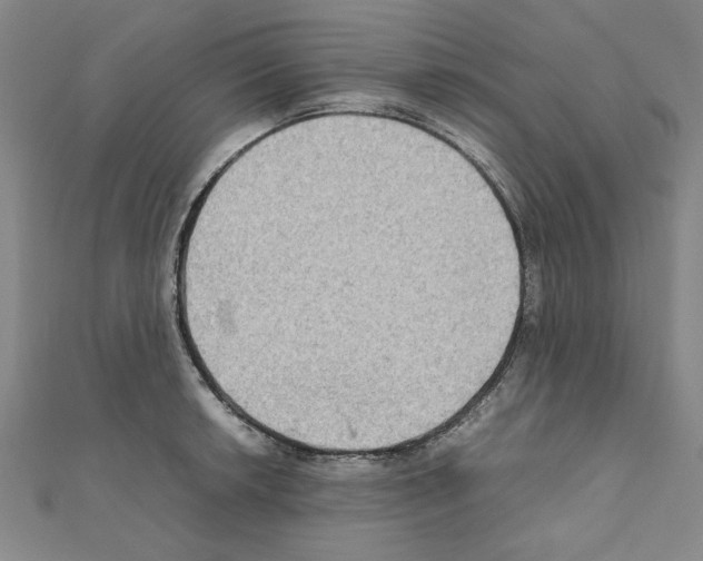 X0000111191042200908121043