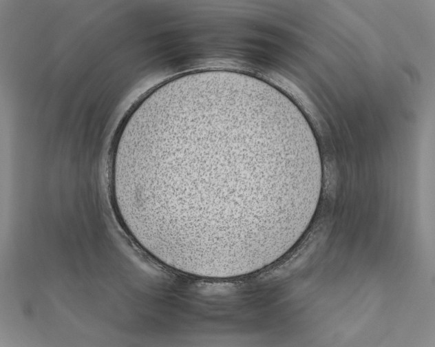 X0000111191043200908121043