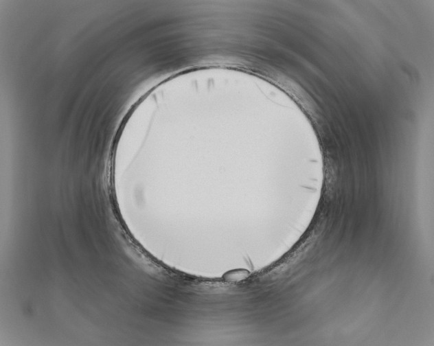 X0000111191044200908121043