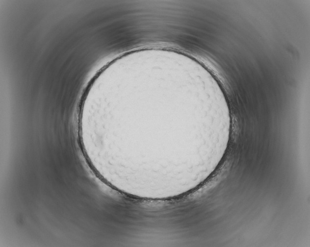 X0000111191046200908121043
