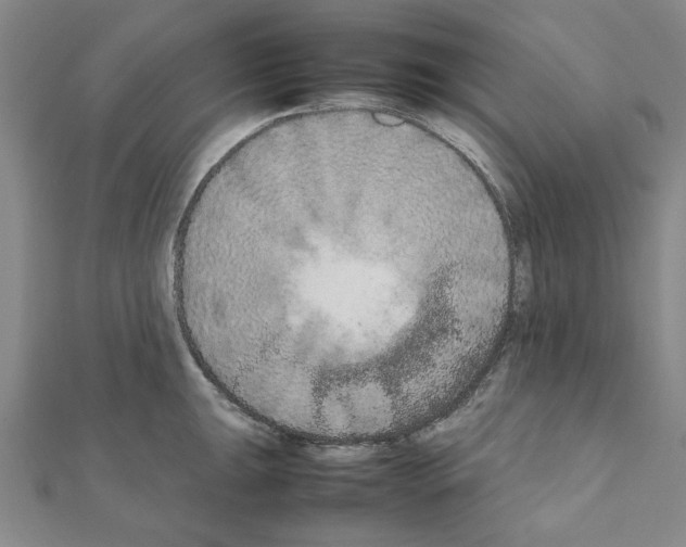 X0000111191047200908121043