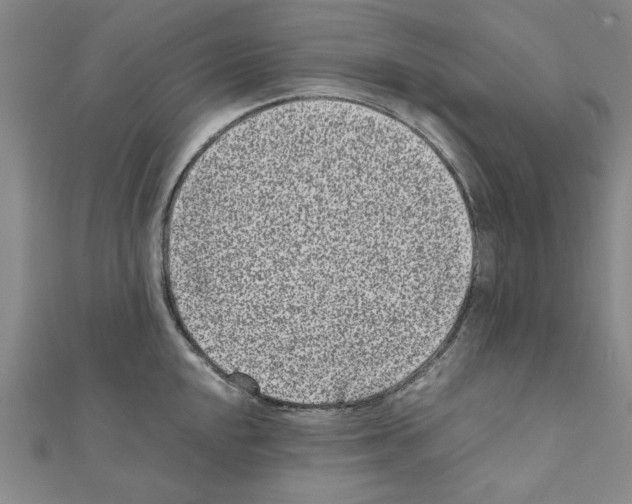 X0000111191048200908121043