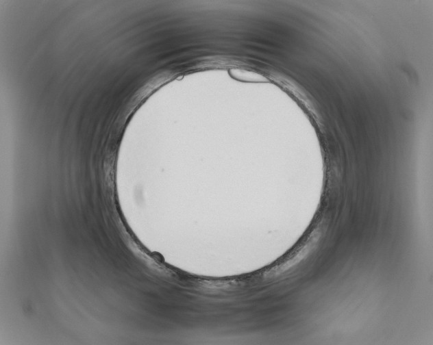 X0000111191049200908121043