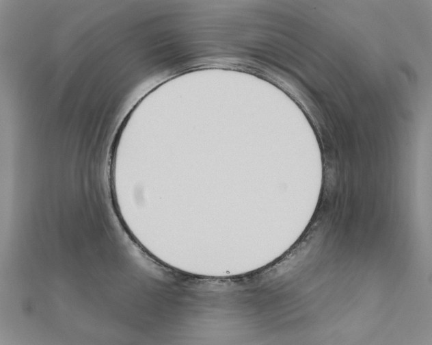 X0000111191050200908121043