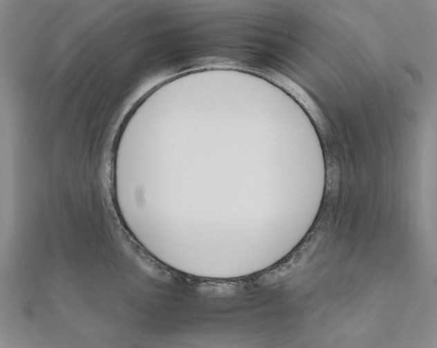 X0000111191051200908121043