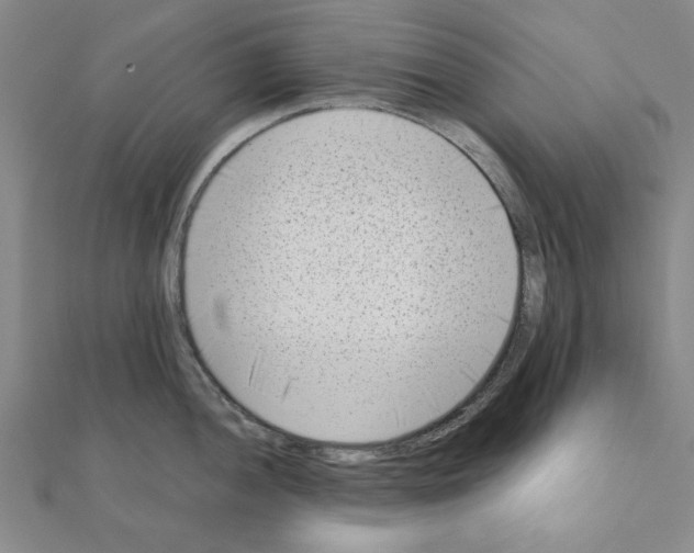 X0000111191052200908121043